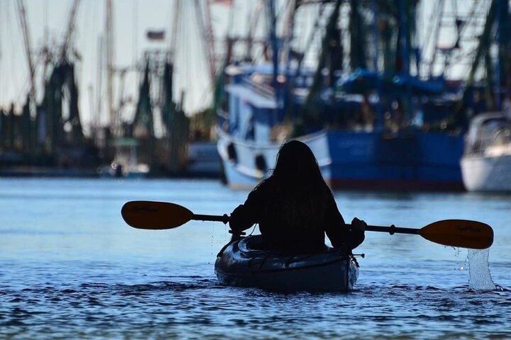 Kayak With Dolphins in Historic Shem Creek - Photo 1 of 6